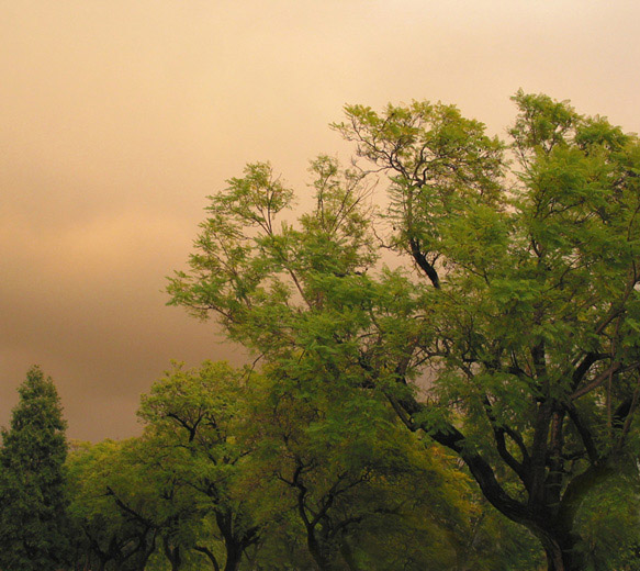 photo "Eastern Sky at Sunset" tags: landscape, clouds, sunset