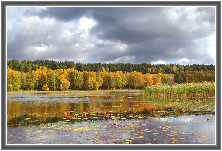 photo "Favourite place" tags: landscape, autumn, water