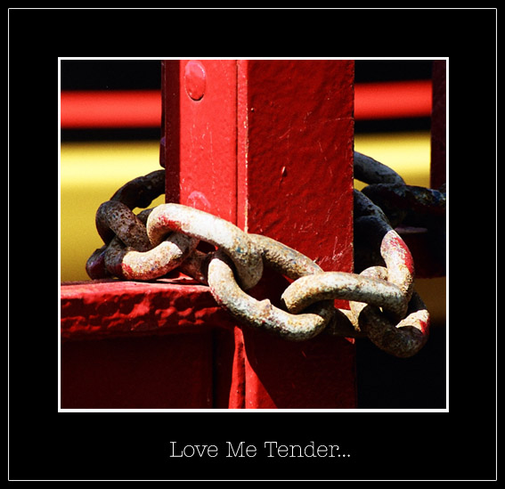 photo "Love Me Tender..." tags: still life, 