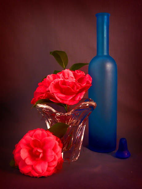 photo "Blue Bottle & Camelias" tags: still life, 