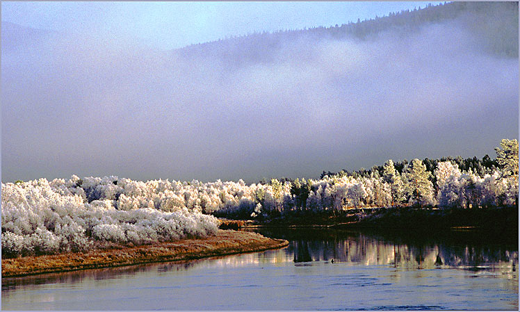 фото "foooog and  hoar frost" метки: пейзаж, зима