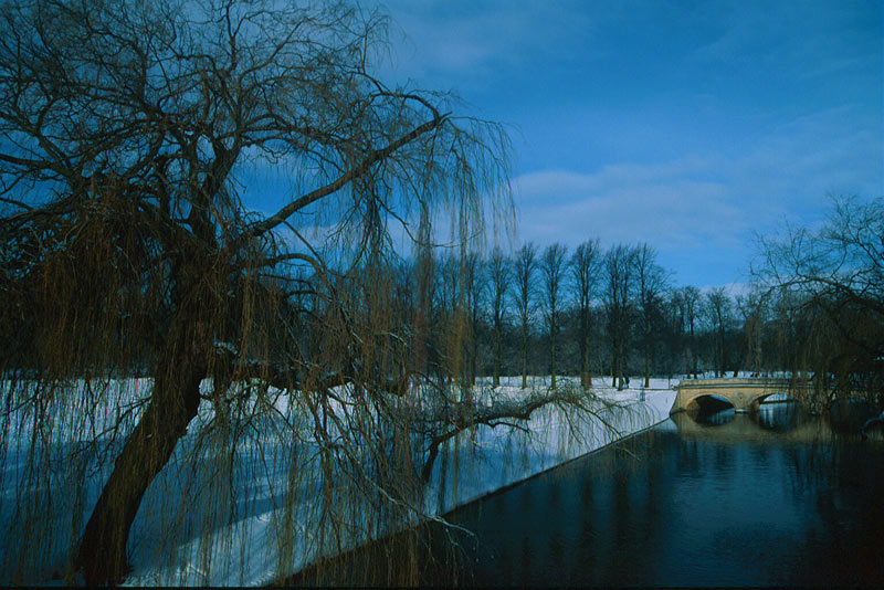 фото "Under the blue sky" метки: пейзаж, зима