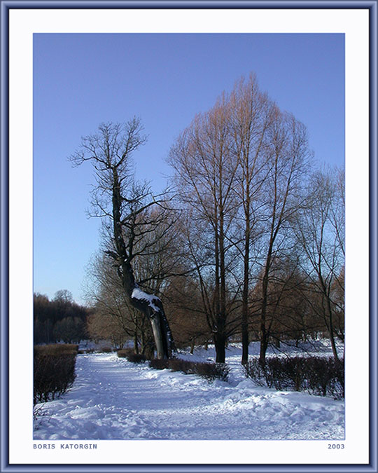 photo "Winter etude_4" tags: landscape, forest, winter
