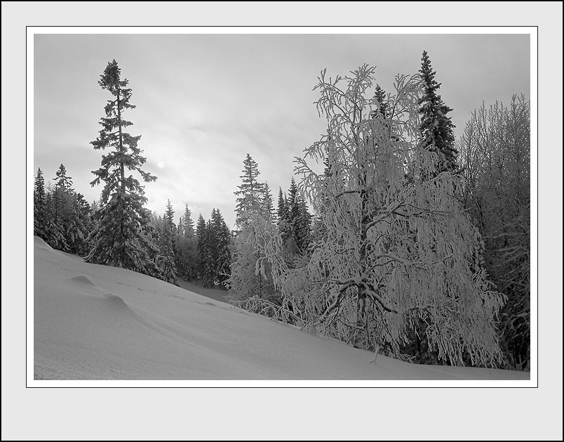 photo "Winter etude with low tones" tags: landscape, black&white, winter