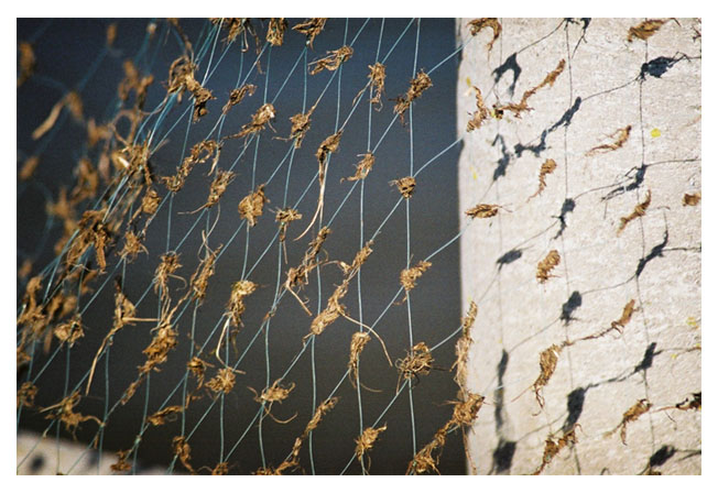 photo "net detail" tags: misc., 