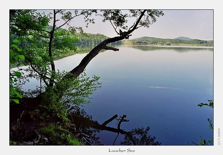 фото "Laacher See" метки: пейзаж, вода