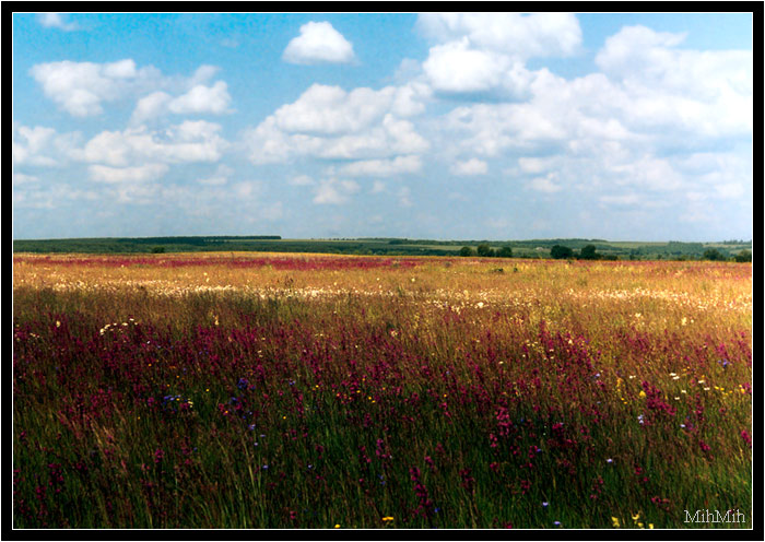 photo "Native land" tags: landscape, summer