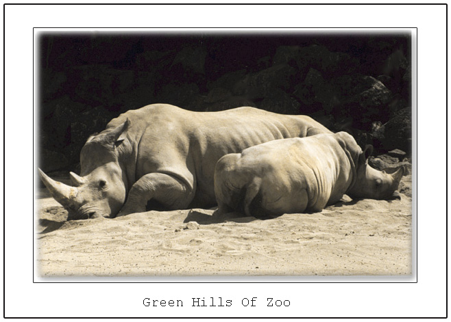 photo "Green Hills Of Zoo" tags: nature, wild animals