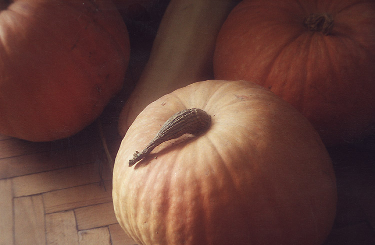 photo "none" tags: still life, 