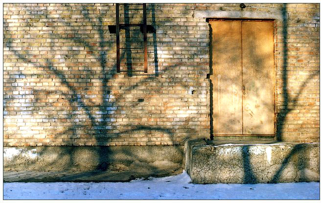 фото "Предвесенний этюд" метки: разное, 