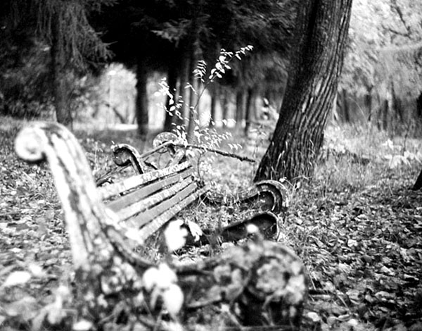 photo "A Bench" tags: landscape, forest