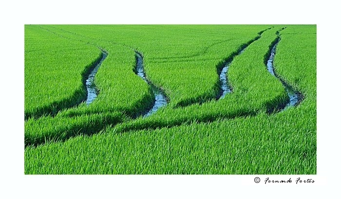 photo "Silk Road" tags: abstract, 