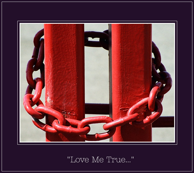 photo "Love Me True" tags: still life, 