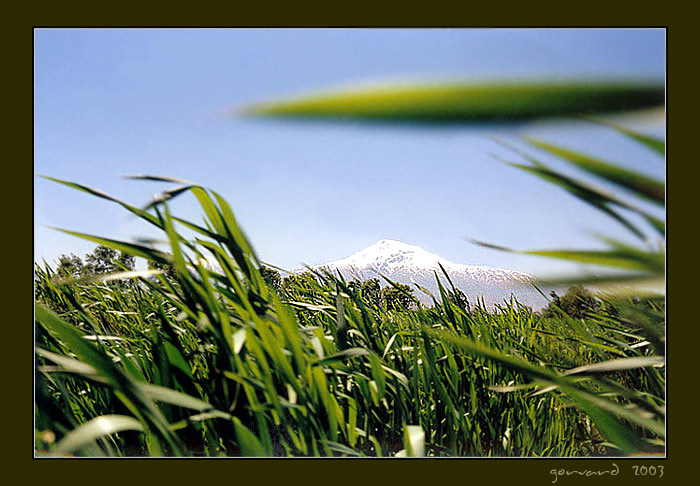 photo "The gentle giant" tags: nature, landscape, mountains