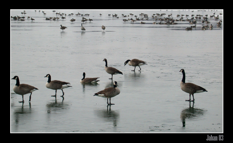 photo "River Ice Festival" tags: nature, landscape, winter