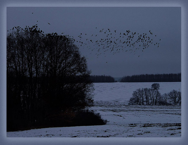 фото "Нарушенное безмолвие..." метки: пейзаж, зима, лес