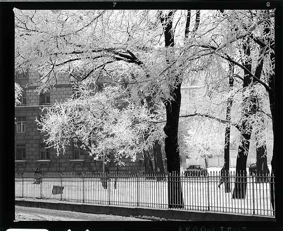 photo "P R E S C A N" tags: black&white, 