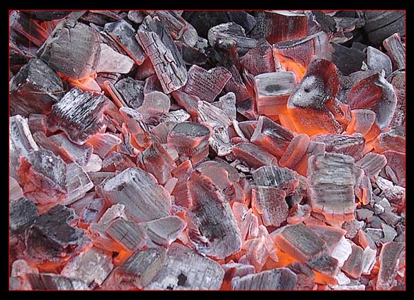 photo "Not a flame but not ashes" tags: misc., abstract, 