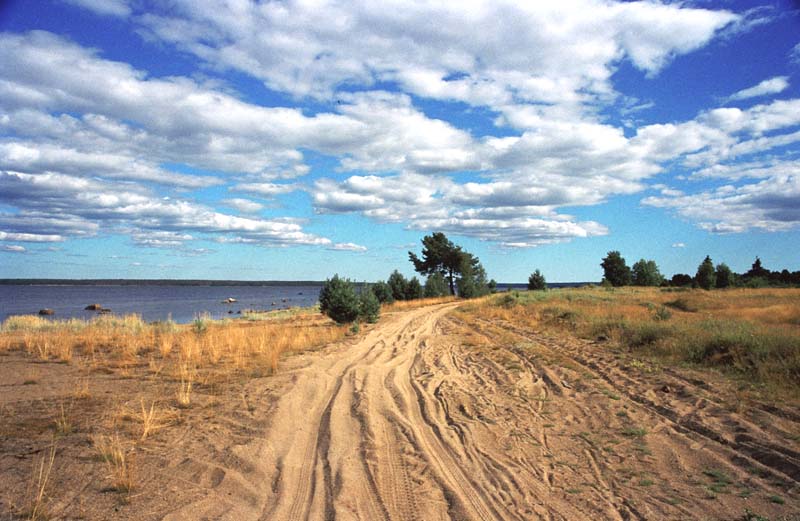 photo "The road through the sand" tags: landscape, clouds, summer