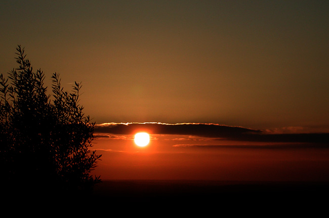 photo "yesterday, at nightfall" tags: landscape, sunset, winter
