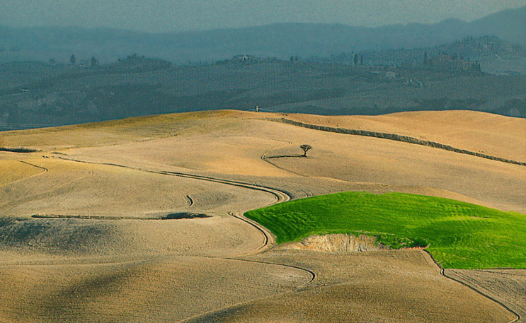 photo "A little solitary tree" tags: landscape, 