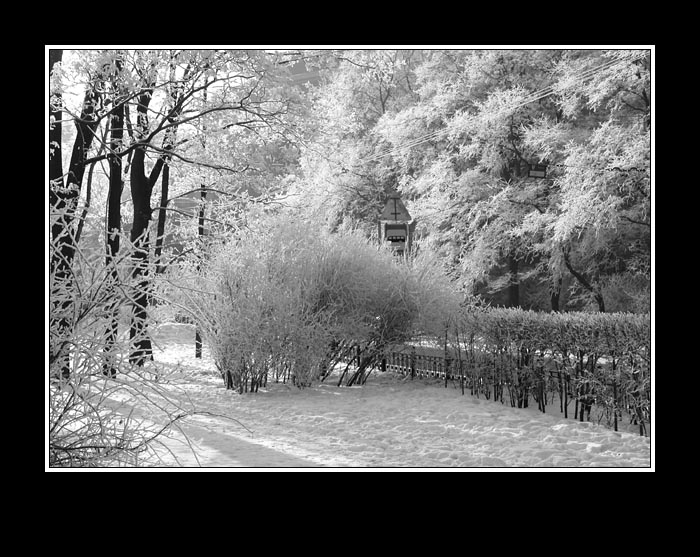 photo "M A R C H" tags: black&white, 