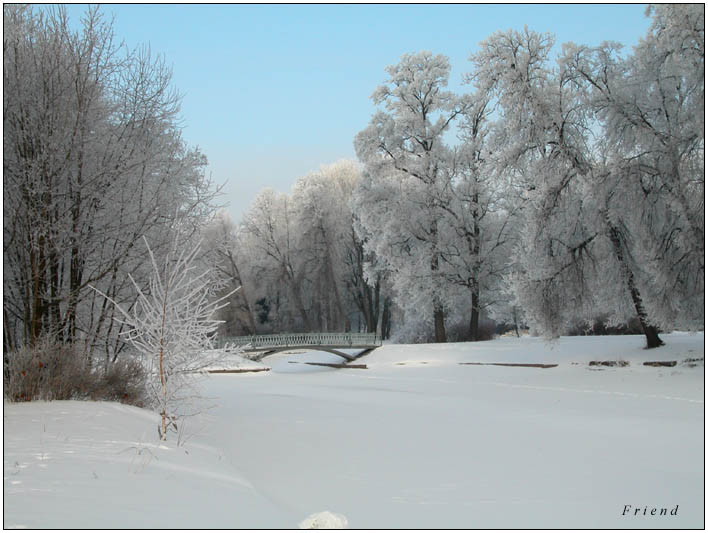 photo "The first day of Spring" tags: landscape, spring