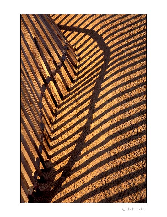 photo "Ribs of Sand" tags: abstract, nature, 