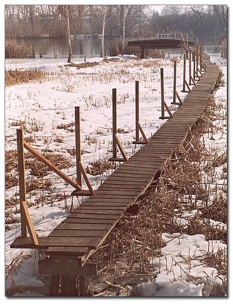 photo "Thaw" tags: landscape, water, winter