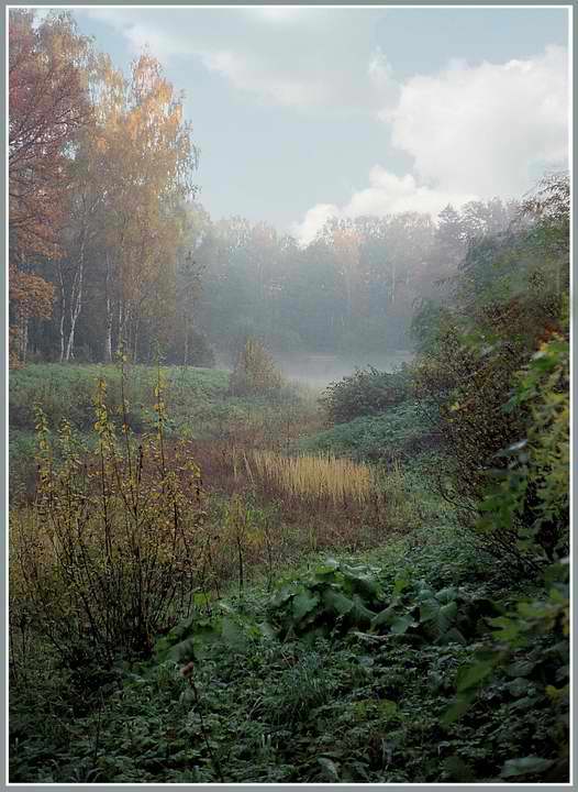 photo "Fog in a hollow" tags: landscape, autumn, forest