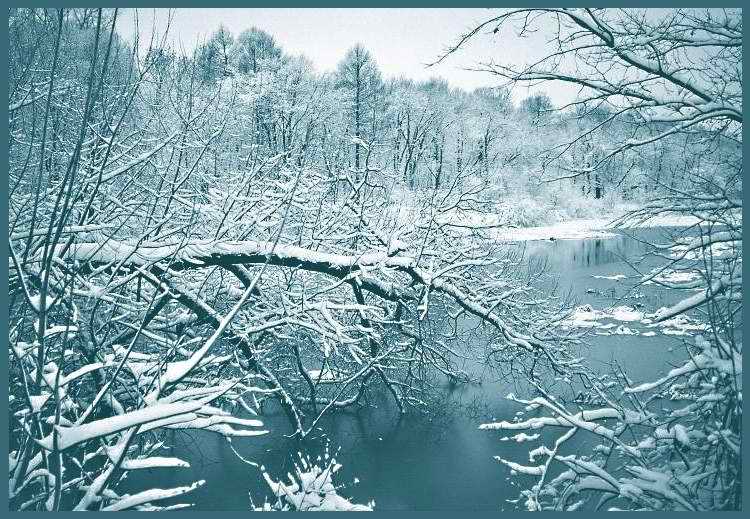 photo "Appeal of winter chaos" tags: landscape, winter