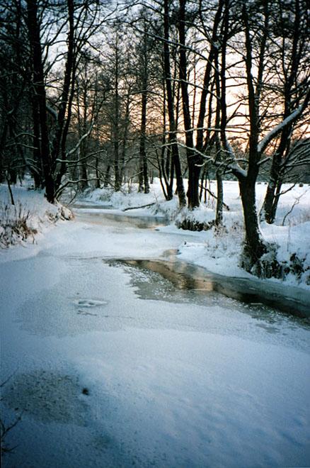 photo "Winter soon finish" tags: landscape, sunset, winter