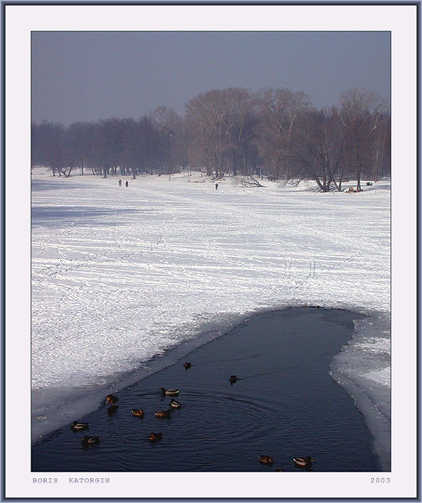 photo "Foggy morning-1" tags: landscape, winter