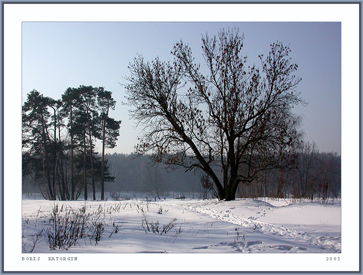 photo "Foggy morning-2" tags: landscape, forest, winter