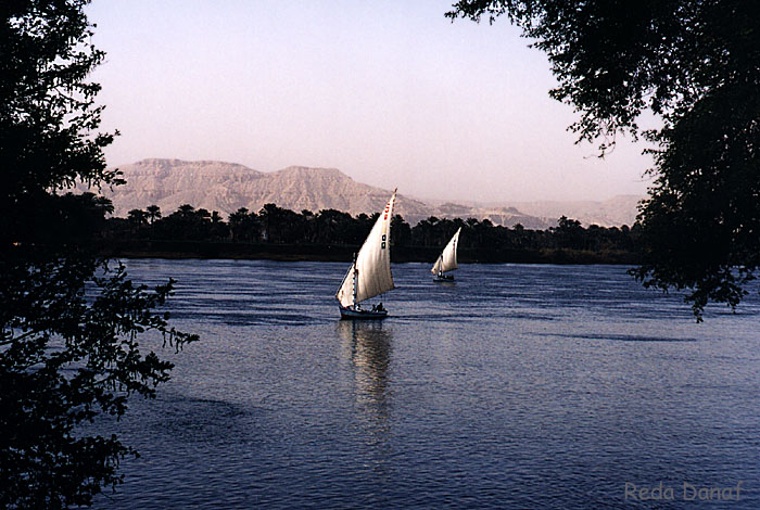 photo "Felukas on the Nile" tags: travel, landscape, Africa, water