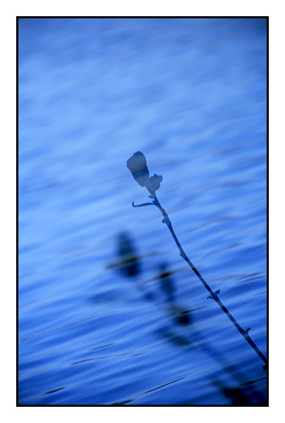 photo "Reflection" tags: landscape, abstract, water