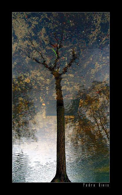 фото "Top Down" метки: абстракция, 