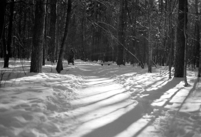 photo "101 shadows" tags: landscape, black&white, winter