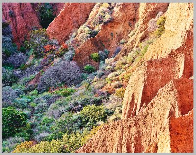 фото "Costal Canyon" метки: пейзаж, горы