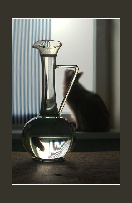 photo "Still-life with a cat" tags: still life, 