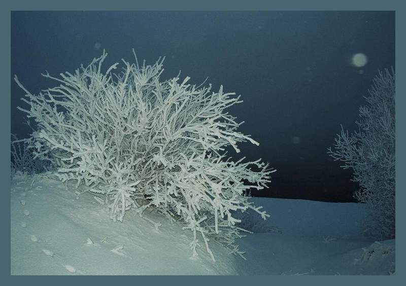 photo "Diving in Moscow suburbs." tags: landscape, winter