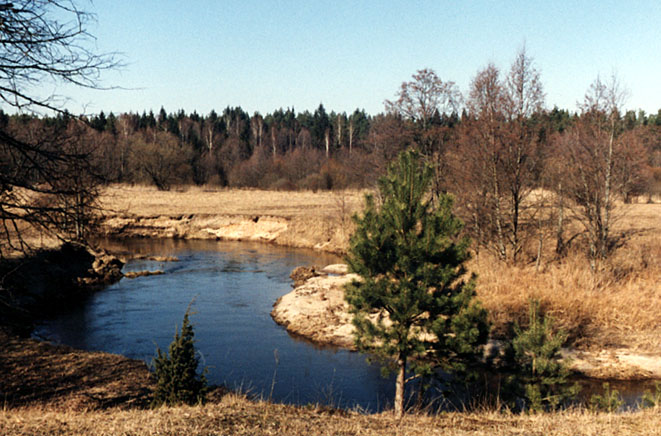 photo "Spring!" tags: landscape, spring