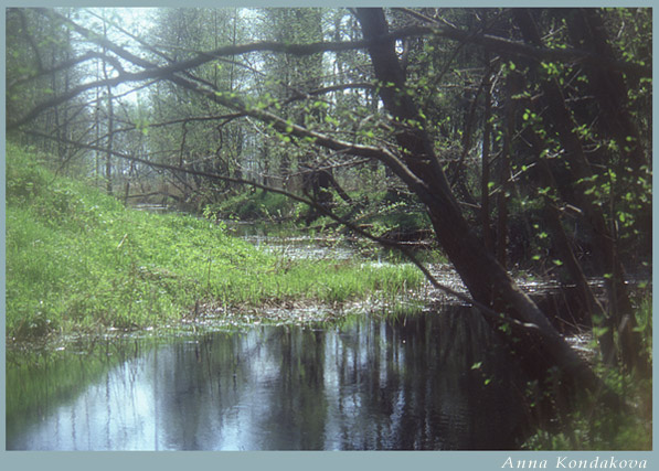 photo "Slice of spring" tags: landscape, spring, water
