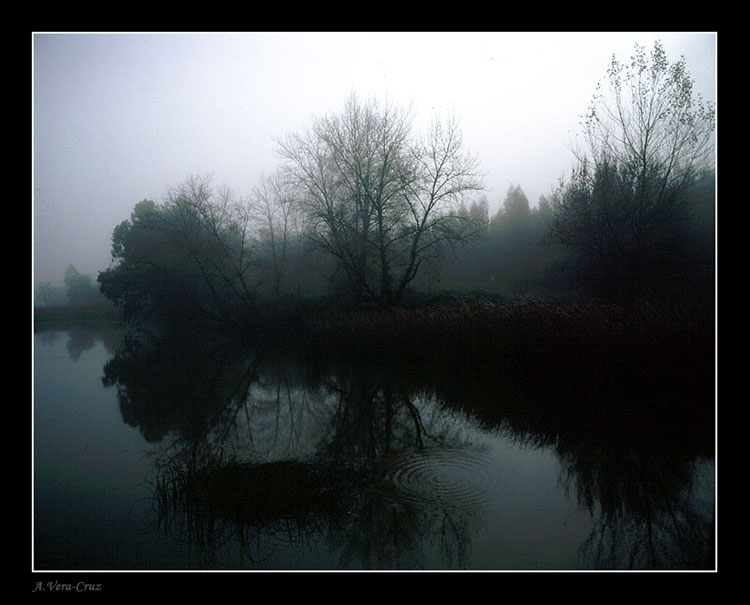 photo "Soft Misty Colors" tags: landscape, 