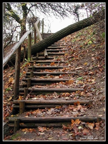 фото "My way upward" метки: жанр, 