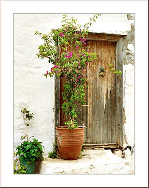 photo "Bougainvillea" tags: architecture, nature, landscape, flowers