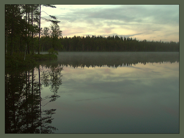 photo "Foggy Night" tags: landscape, forest, water