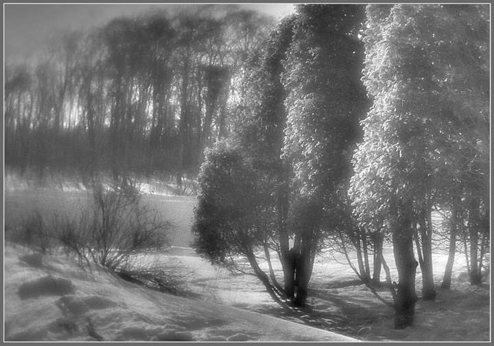 photo "February motives - early morning" tags: landscape, black&white, winter