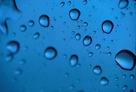 photo "drops" tags: macro and close-up, 