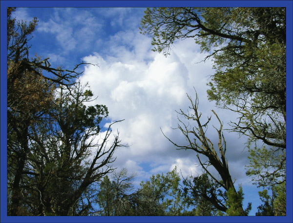 photo "One beautiful cloud" tags: nature, 